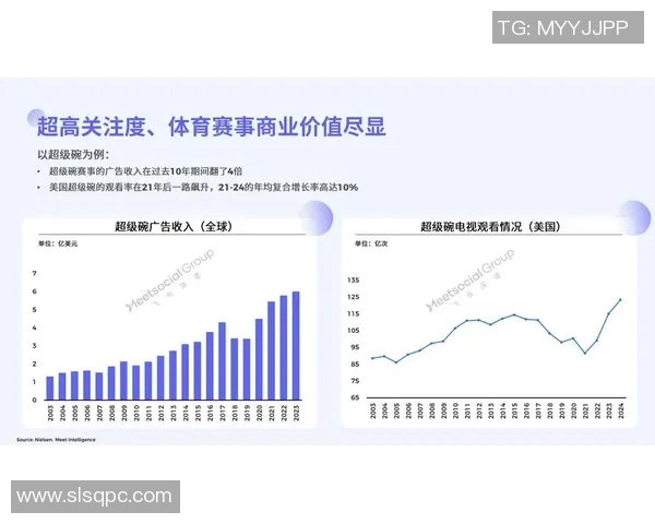 欧洲杯足球赛事市场营销及商业价值